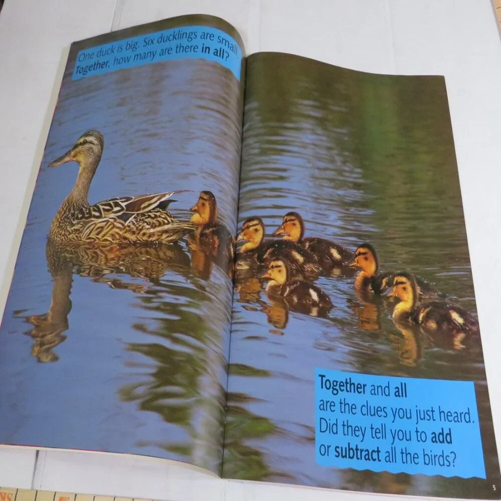 Solve It Out BIG BOOK (almost 2 feet tall) with teacher pages CLASSROOM SIZE